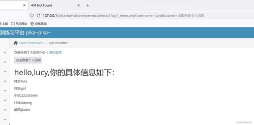 網(wǎng)絡(luò)安全第八天 不安全的文件上傳漏洞與相關(guān)安全風(fēng)險(xiǎn)