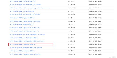 Kali Linux虛擬機(jī)配置流程及其在網(wǎng)絡(luò)與信息安全軟件開(kāi)發(fā)中的應(yīng)用